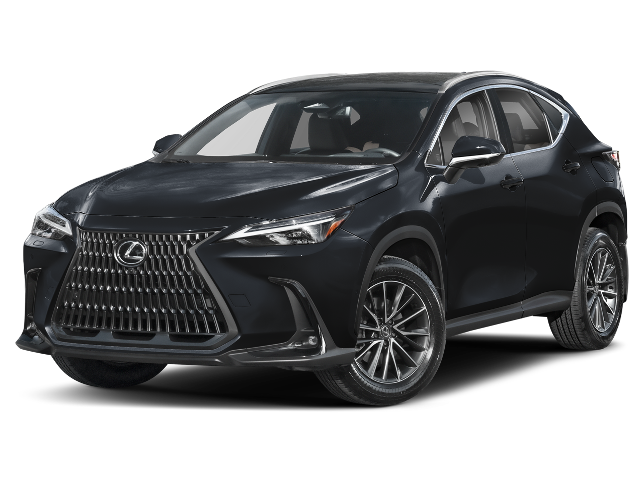 2024 Lexus NX 350h 350h Luxury AWD's photo