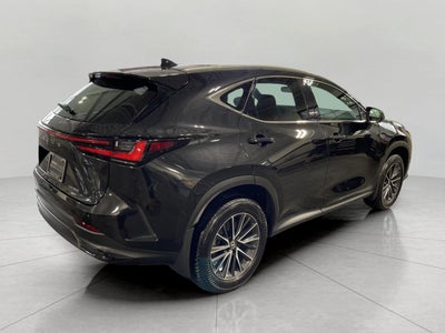 2024 Lexus NX NX 350 AWD
