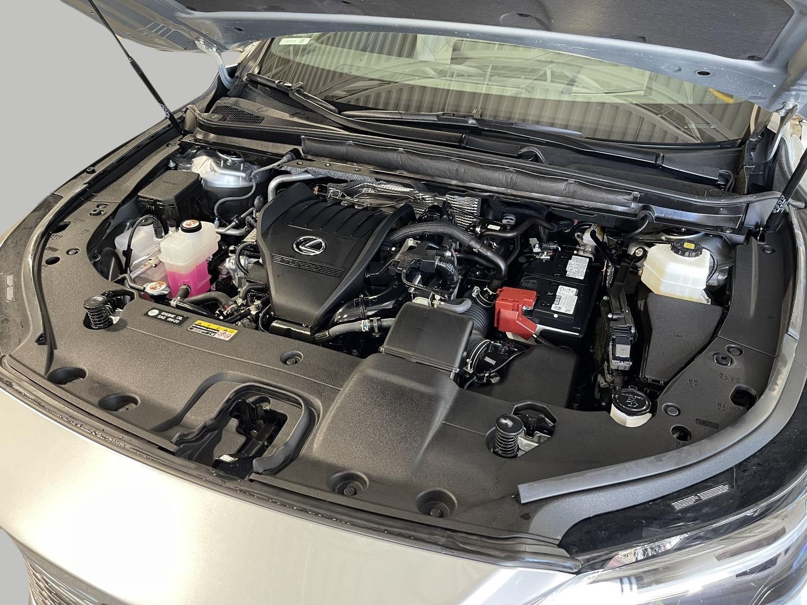 2024 Lexus RX RX 350 Premium Plus AWD