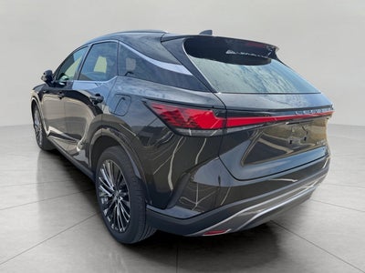 2025 Lexus RX UTILITY