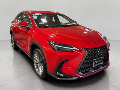 2025 Lexus NX NX 350 Premium AWD