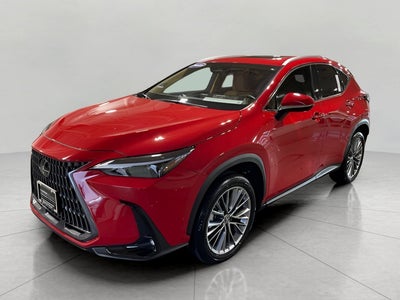 2025 Lexus NX NX 350 Premium AWD