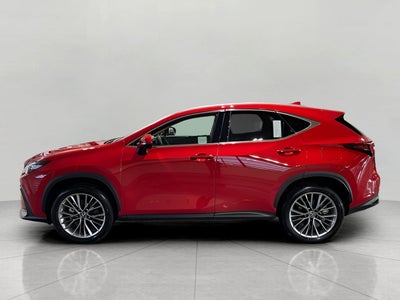 2025 Lexus NX NX 350 Premium AWD