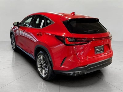 2025 Lexus NX NX 350 Premium AWD
