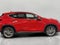 2025 Lexus NX NX 350 Premium AWD