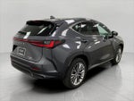 2022 Lexus NX NX 350 Premium AWD