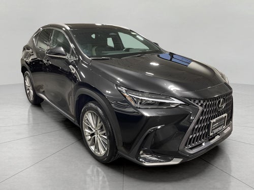 2024 Lexus NX NX 350 Luxury AWD
