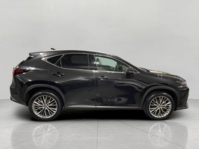 2024 Lexus NX NX 350 Luxury AWD