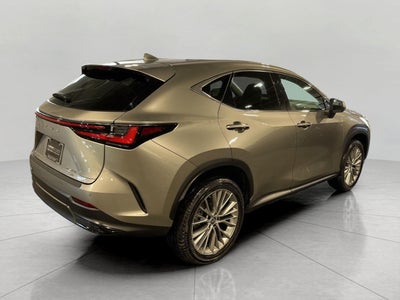 2023 Lexus NX NX 350 Luxury AWD