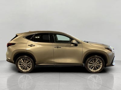 2023 Lexus NX NX 350 Luxury AWD