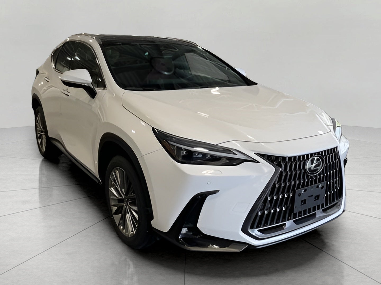 2026 Lexus NX 350h 350h Luxury AWD's photo