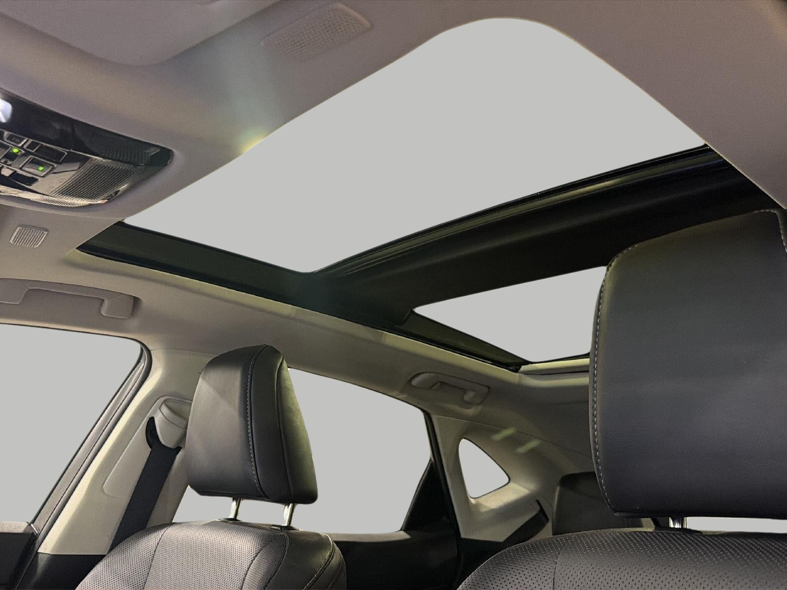 2023 Lexus NX NX 350h Luxury AWD