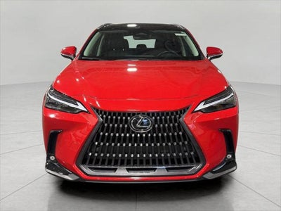 2023 Lexus NX NX 350h Luxury AWD