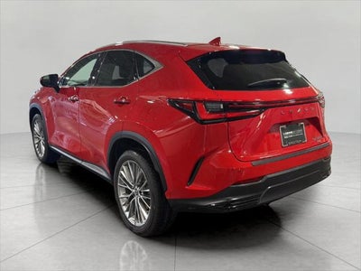 2023 Lexus NX NX 350h Luxury AWD
