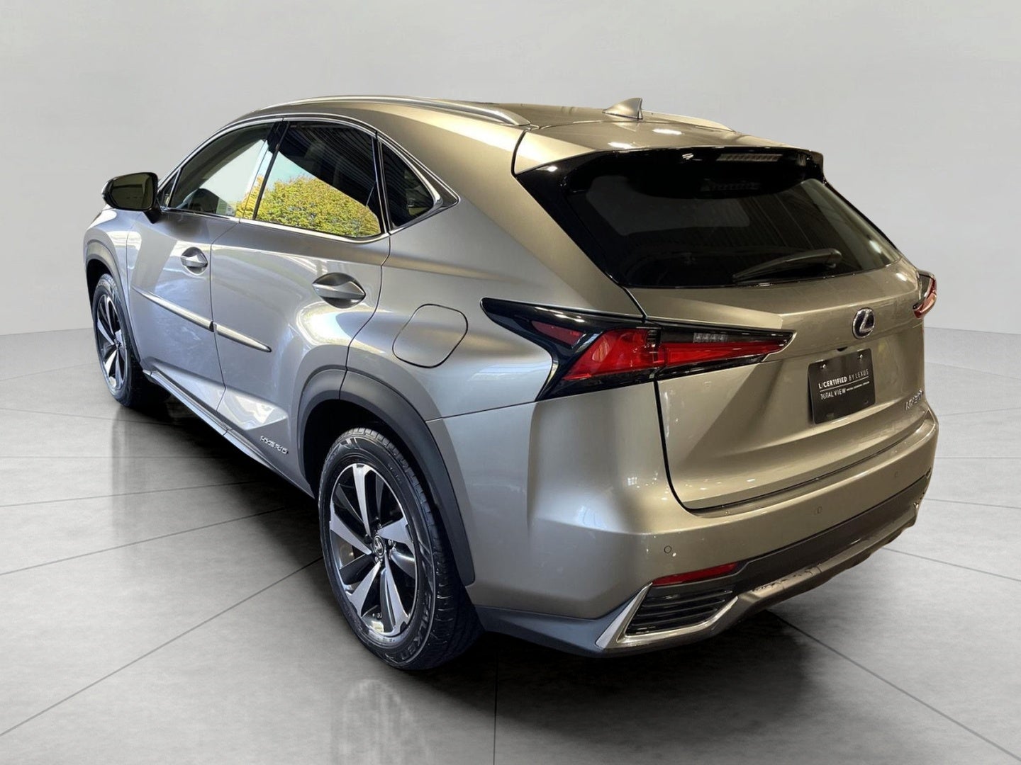 2020 Lexus NX NX 300h AWD