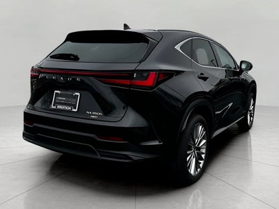 2025 Lexus NX NX 350h Luxury AWD