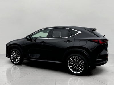 2025 Lexus NX NX 350h Luxury AWD