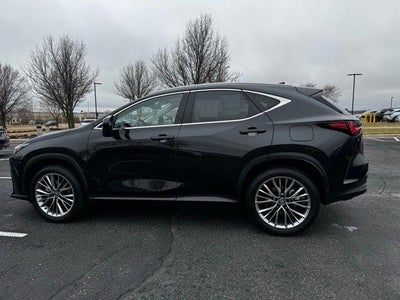 2025 Lexus NX NX 350h Luxury AWD