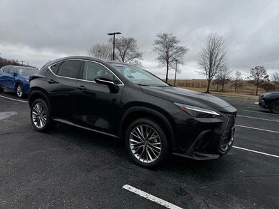 2025 Lexus NX NX 350h Luxury AWD