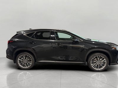 2024 Lexus NX NX 350h Luxury AWD