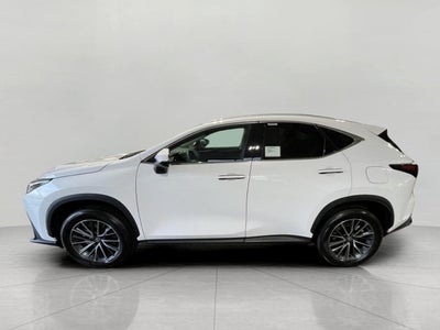 2026 Lexus NX 350 AWD