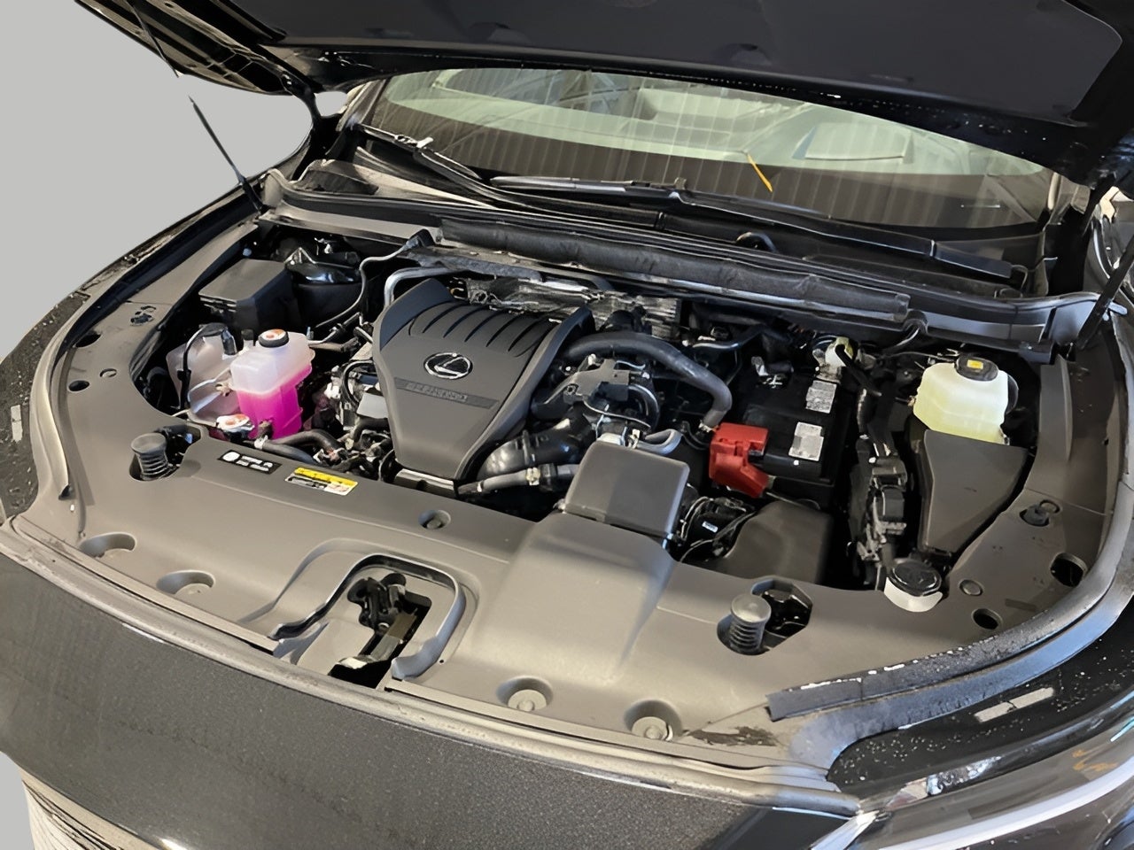 2026 Lexus RX 350 PREMIUM+ AWD