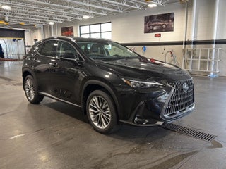 2026 Lexus NX 350 PREMIUM AWD