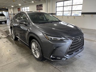 2026 Lexus NX 350 PREMIUM AWD