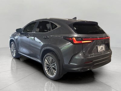 2026 Lexus NX 350 PREMIUM AWD