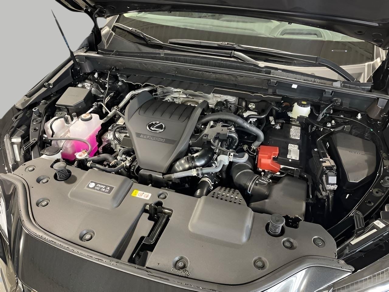 2026 Lexus NX 350 LUXURY AWD
