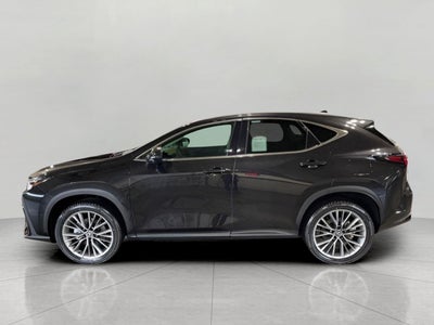 2026 Lexus NX 350 LUXURY AWD