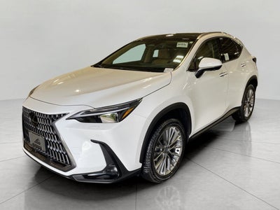 2026 Lexus NX 350 LUXURY AWD