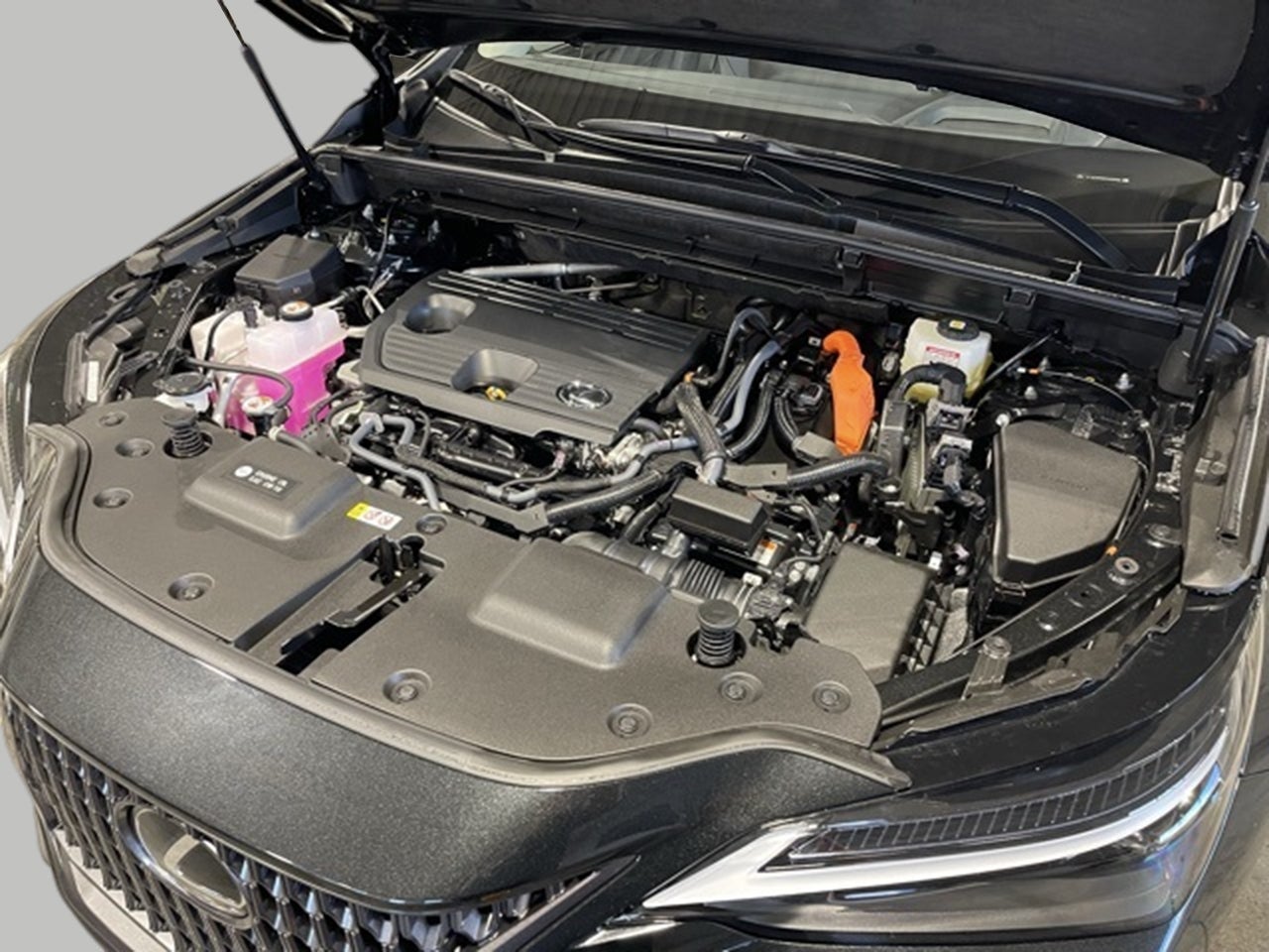 2026 Lexus NX HYBRID NX 350h LUXURY AWD