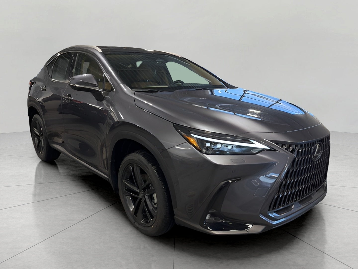 2026 Lexus NX